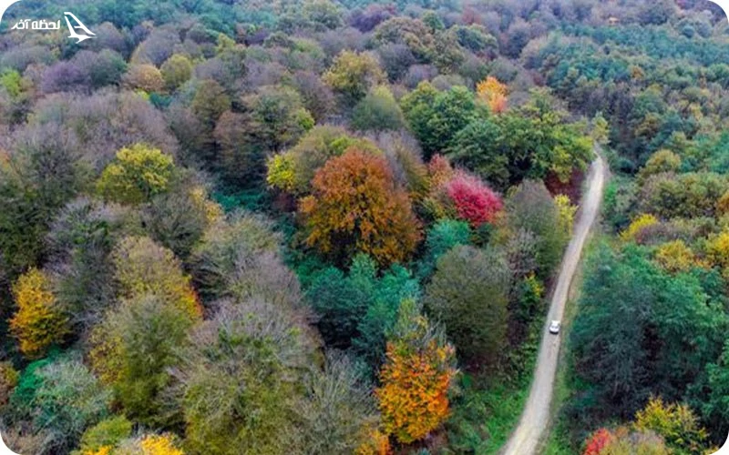 شرایط جوی جنگل لفور آب و هوای جنگل لفور